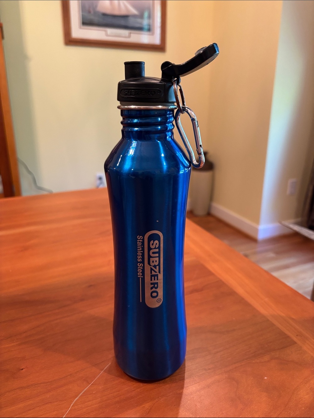 Subzero Stainless Steel Blue Sports Water Bottle with Carabiner 24oz